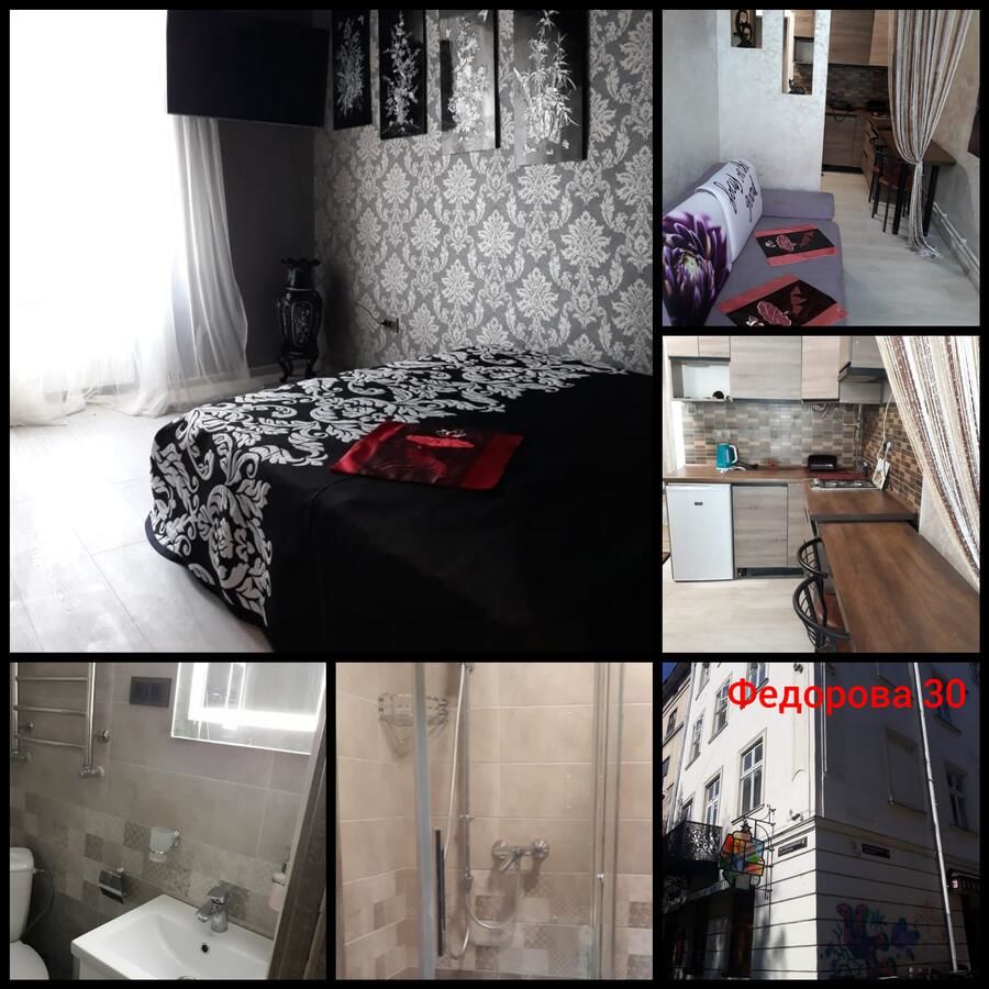 Апартаменты Apartmant in Lviv for you Львов-4